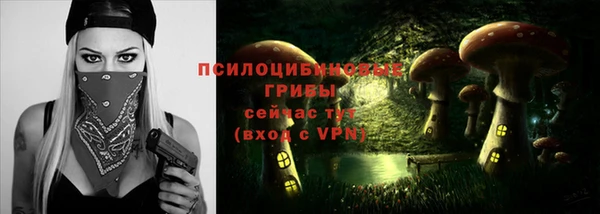a pvp Краснотурьинск