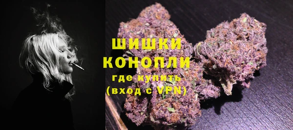 индика Красноперекопск