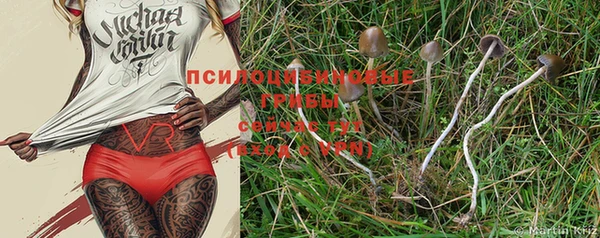 винт Кукмор
